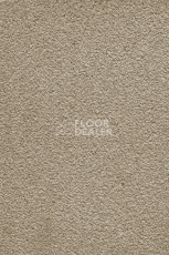 Ковролин AW Masquerade Moana 34 фото 1 | FLOORDEALER